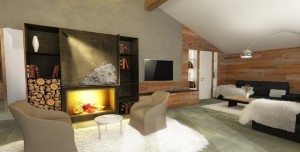 ����������� �����������