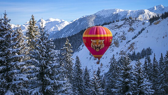 ����������� �����������